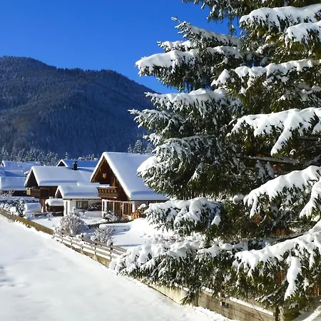 アパート Gemuetliche Alpenwohnung In Altenau, Cleaning Included *