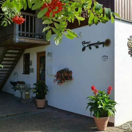 Apartment Blissful In With Patio, Cleaning Included
